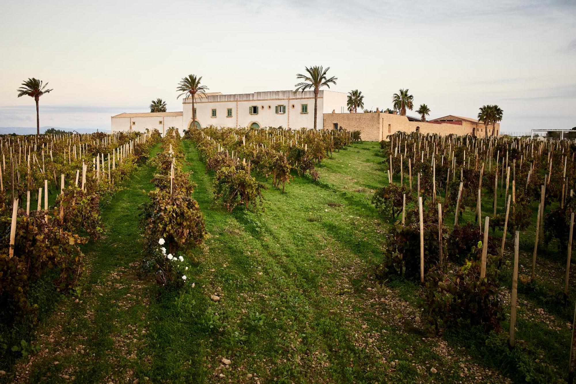 Agriturismo Baglio Donnafranca Wine Resort Μαρσάλα Εξωτερικό φωτογραφία