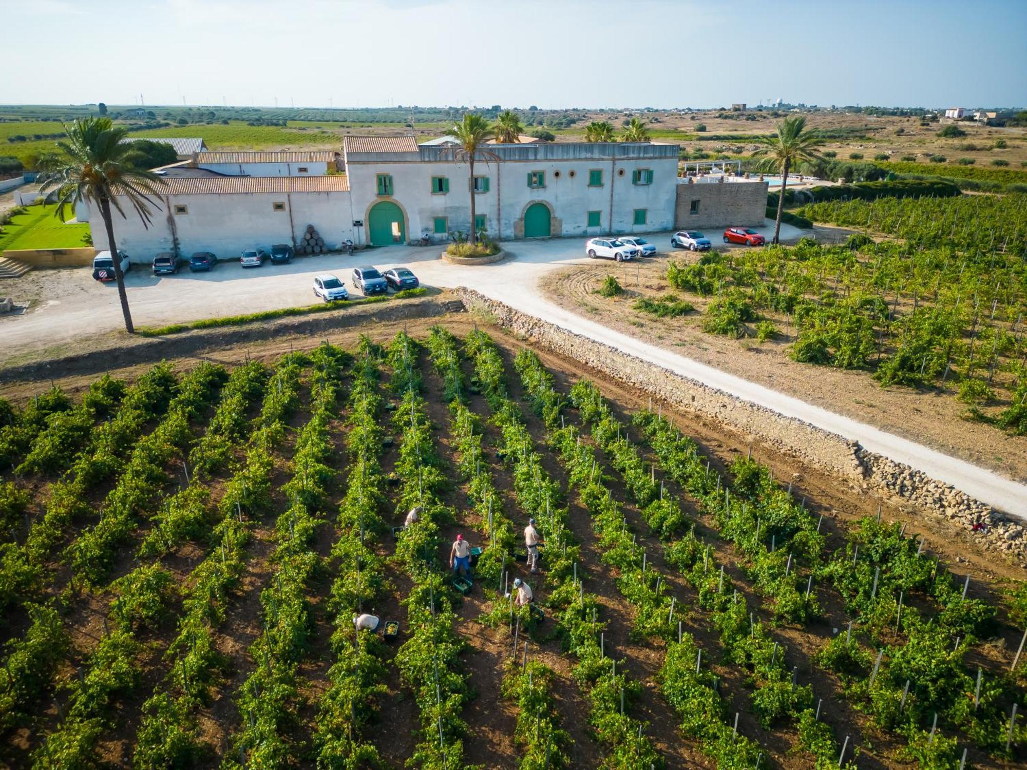 Agriturismo Baglio Donnafranca Wine Resort Μαρσάλα Εξωτερικό φωτογραφία