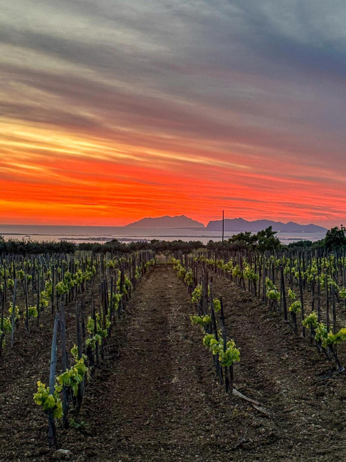 Agriturismo Baglio Donnafranca Wine Resort Μαρσάλα Εξωτερικό φωτογραφία