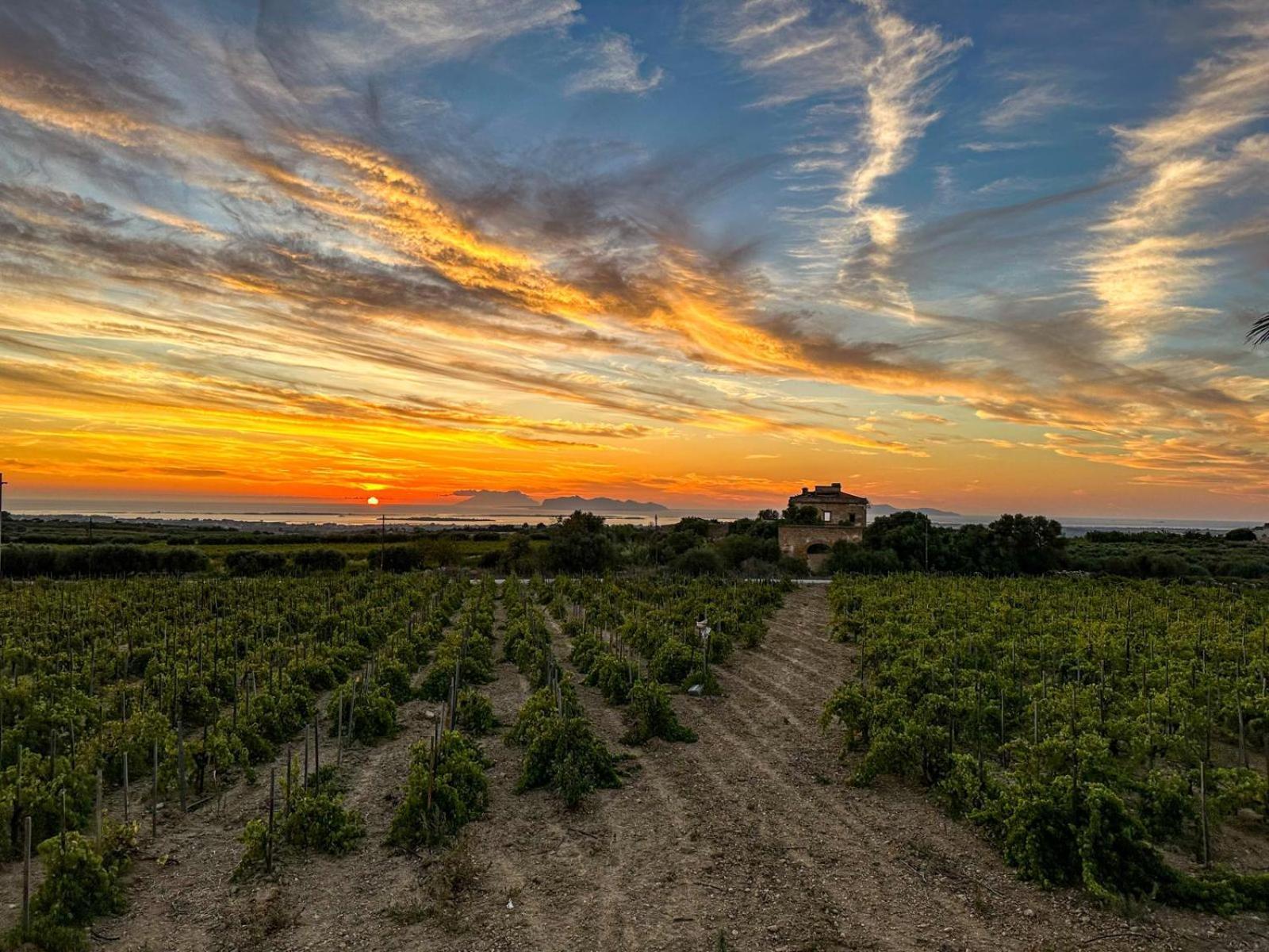 Agriturismo Baglio Donnafranca Wine Resort Μαρσάλα Εξωτερικό φωτογραφία