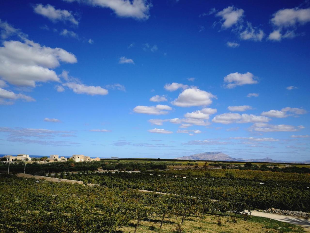 Agriturismo Baglio Donnafranca Wine Resort Μαρσάλα Εξωτερικό φωτογραφία